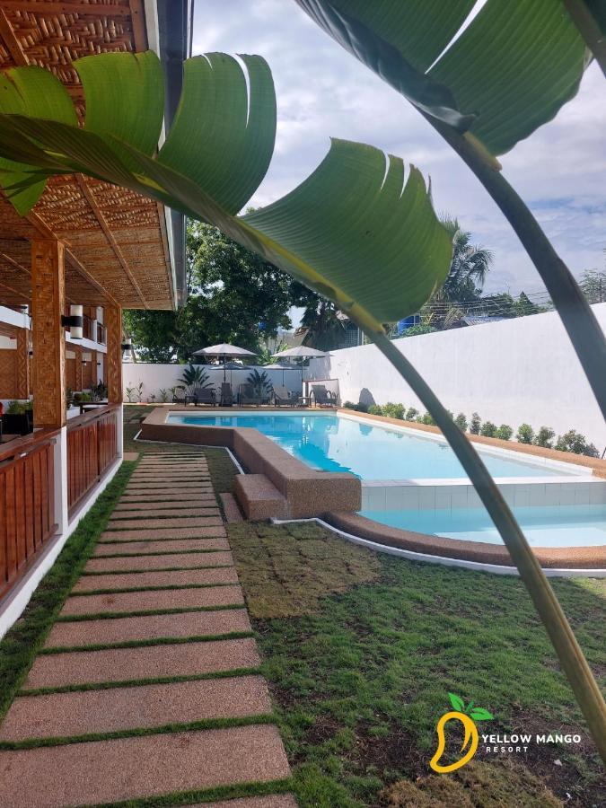 Yellow Mango Resort Bohol ปางเลา ภายนอก รูปภาพ